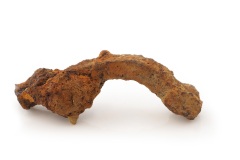 Fibel nahe Wilen 5