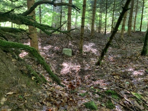 Grenzstein W, Lage im Wald