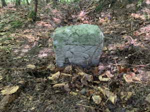 Grenzstein W, Rückseite