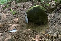 Grenzstein 5