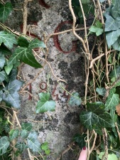 Kantonsgrenzstein 1844 SG