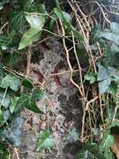 Kantonsgrenzstein 1844 SG