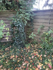 Kantonsgrenzstein 1844 SG