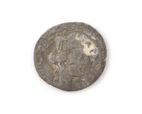 Kybelekopf, Kamel, Denar, 55 v. Chr.