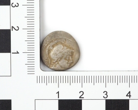 Minervakopf, Widder, Denar, 76 v. Chr.