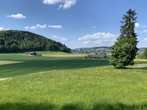 Blick auf Wilen und Wil 