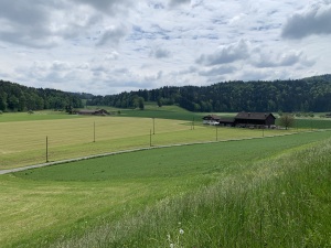 Blick auf Flurhof und Waldhof