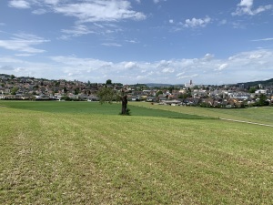 Blick ab Vogelherd