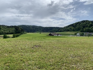 Blick ab Vogelherd