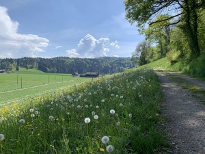 Flurhof