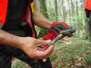Was für eine Farbe der wohl hatte?