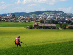 Wunderbarer Ausblick auf Wil