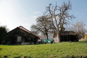 Tresterhäuschen Knecht