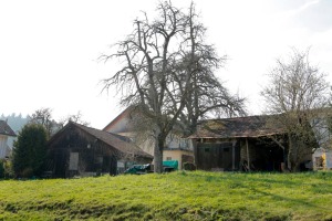 Tresterhäuschen Knecht