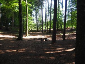 Im Wuhrenholz - Grillstelle, Wilen bei Wil