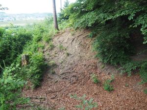Im Wuhrenholz - Hohlweg, Wilen bei Wil