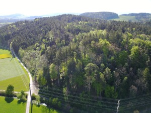 Das Wuereholz aus der Luft